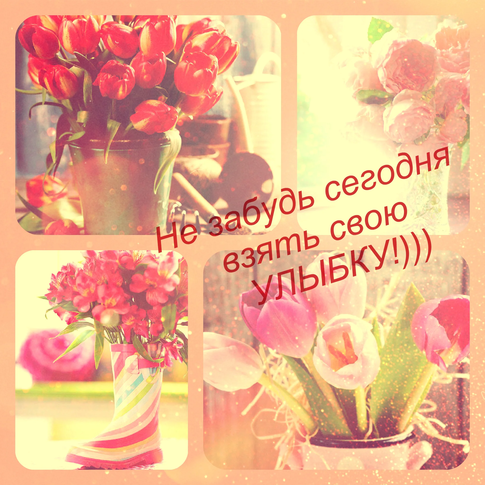 новый коллаж.webp