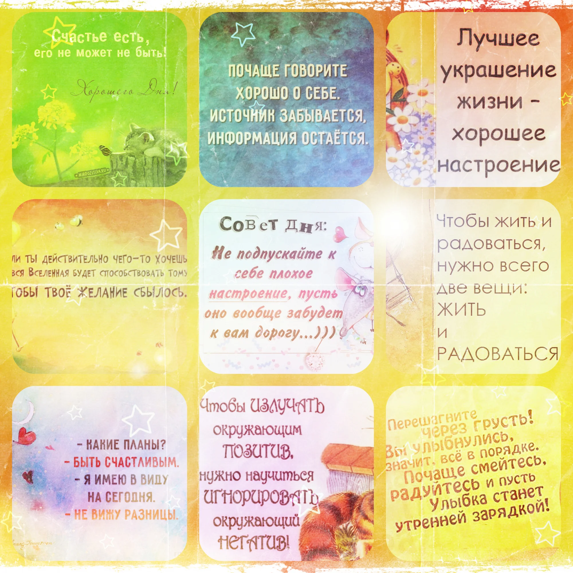 новый коллаж.webp