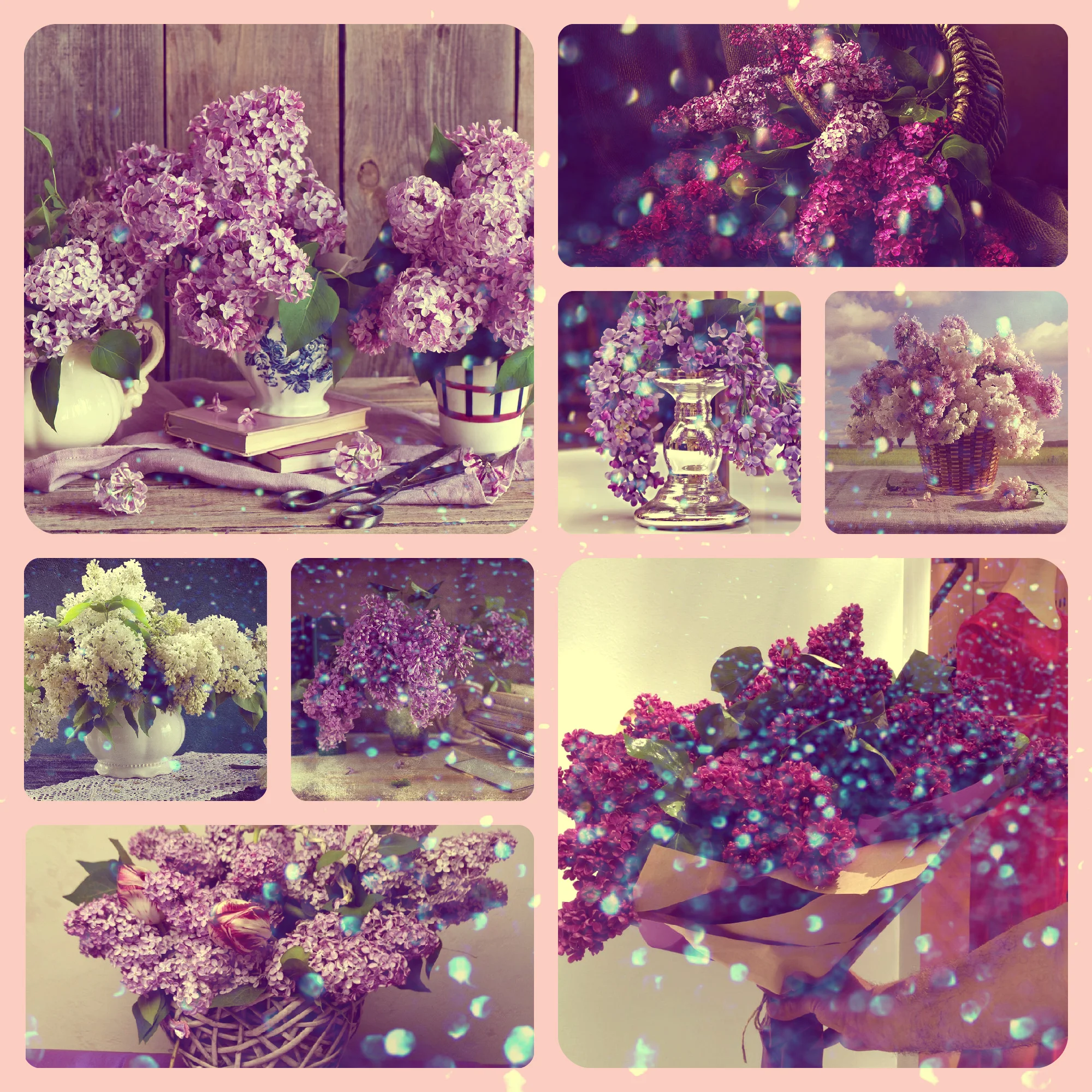 новый коллаж.webp