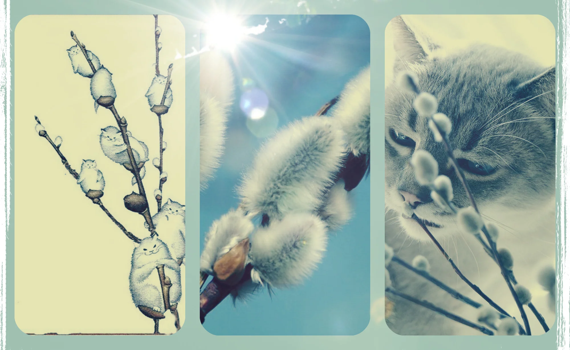 новый коллаж.webp