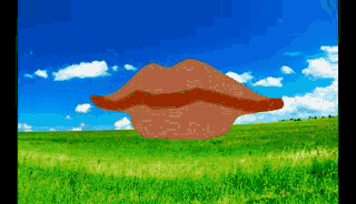 Новый проектт 10.gif