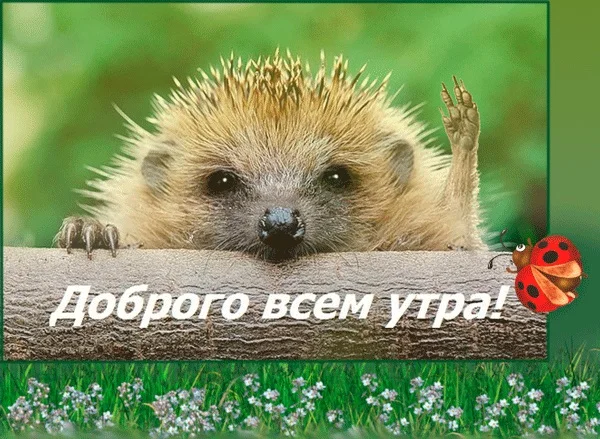 Новый точечный рисунок.webp