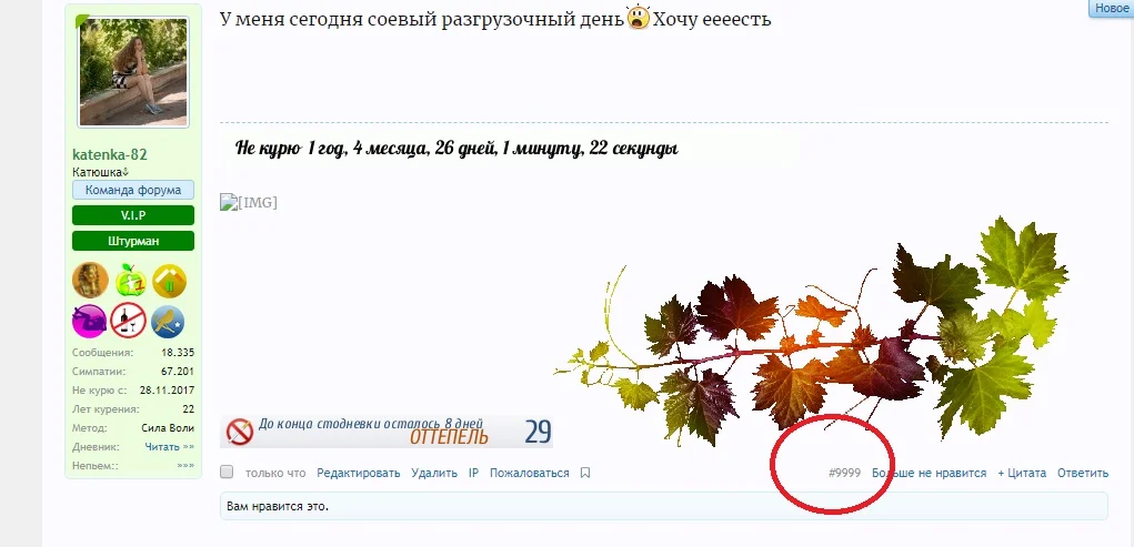 Новый точечный рисунок.webp
