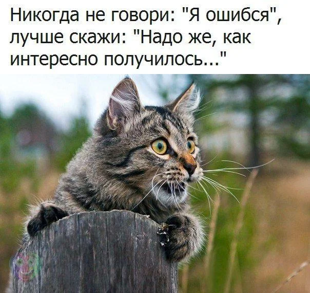 nrIBfxhgmZY.webp
