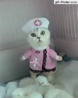 Nurse-cat.gif