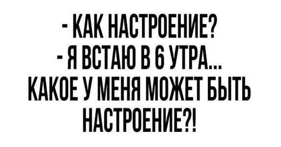 NXG3ncQN2uI.webp