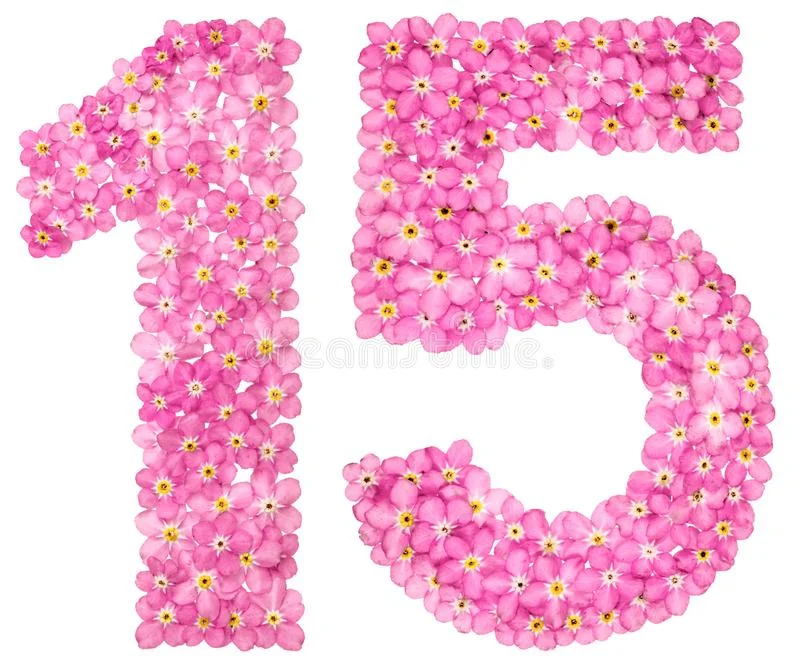 o-numeral-árabe-quinze-do-miosótis-cor-de-rosa-floresce-iso-116797746.webp