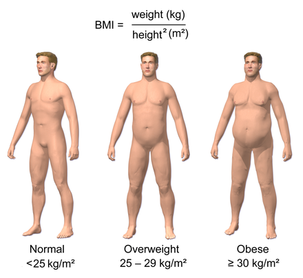 Obesity_&_BMI.png