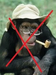 Обезьяна 2.webp