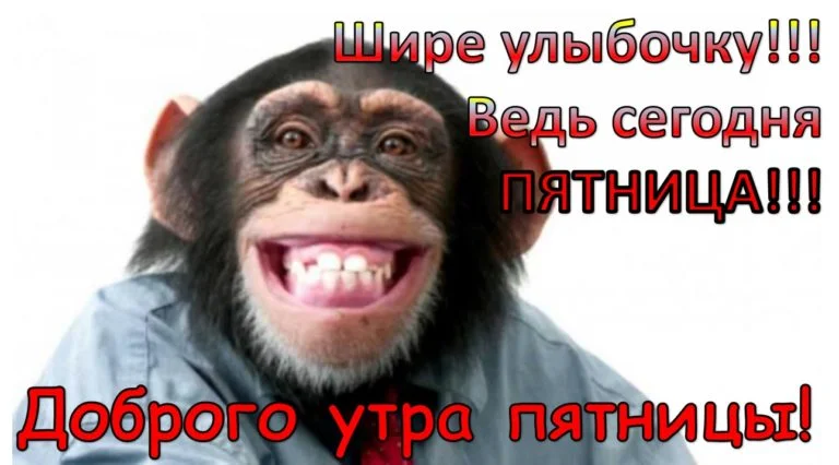 обезьяна-улыбака-768x426.webp