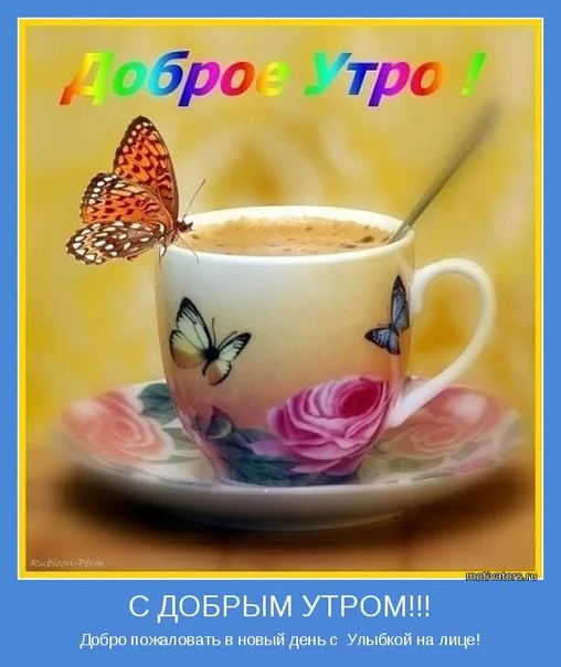 OBHtfblIirE.webp