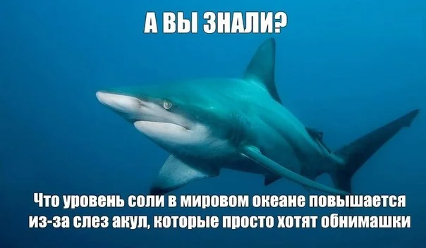 обнимашки.webp