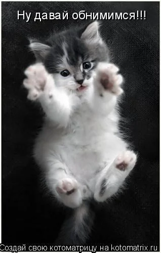 обнимашки.webp