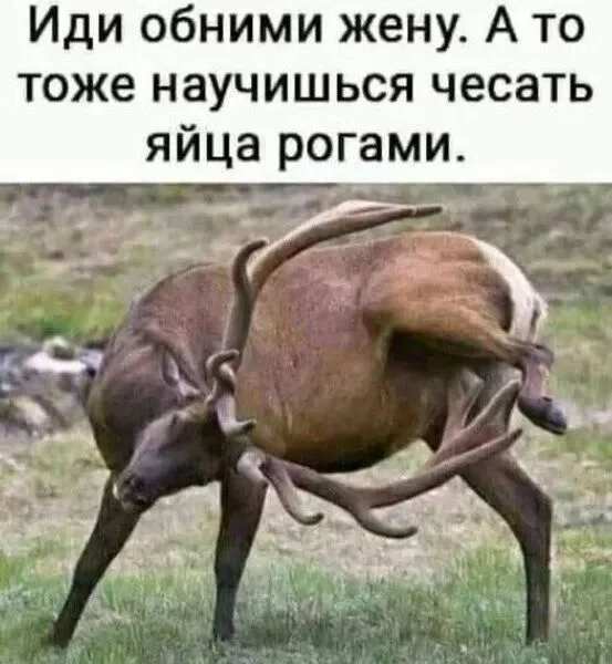 обними жену.webp