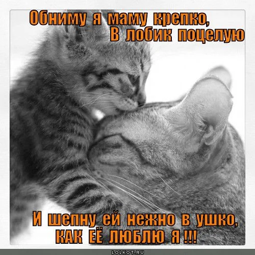 obnimu-i-potseluyu._1363619040.webp