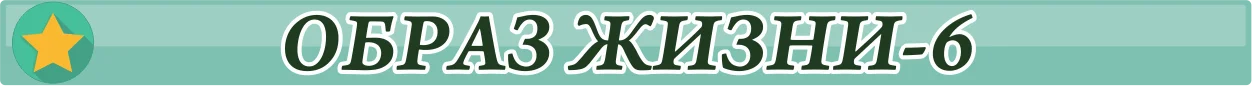 образ жизни.webp