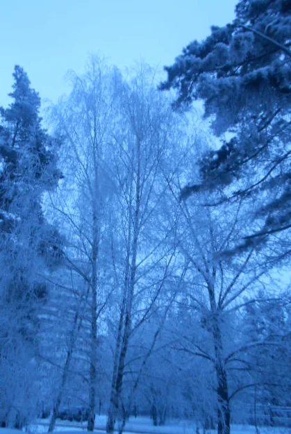 обрезанное фото.webp