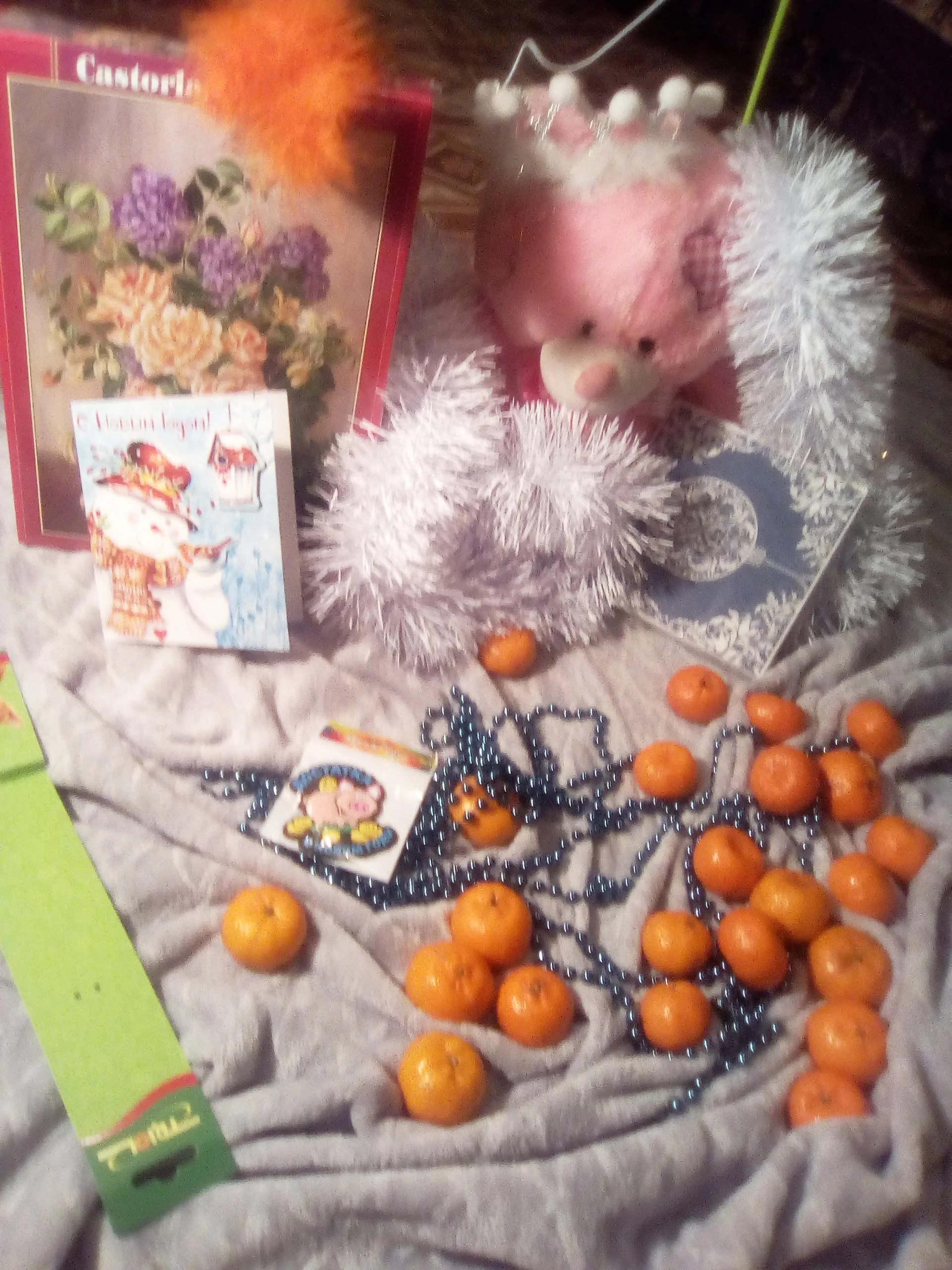 общий вид.webp