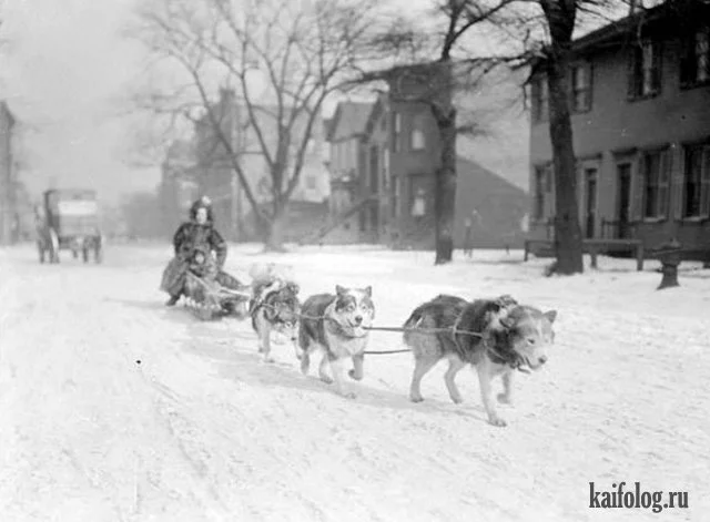 Обычный Чикаго в 1904-ом году..webp