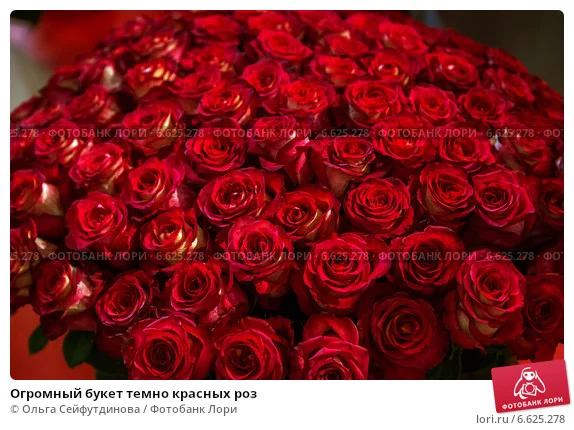 ogromnyi-buket-temno-krasnyh-roz-0006625278-preview.webp