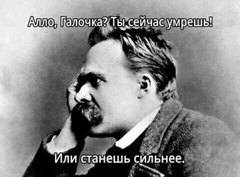 oiRbT3WgeCQ.webp