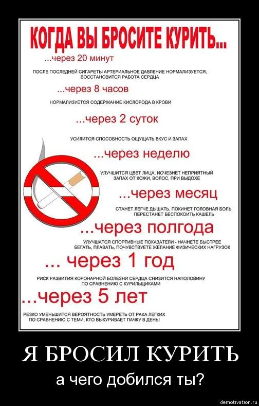 okn4bri6i3yd.webp