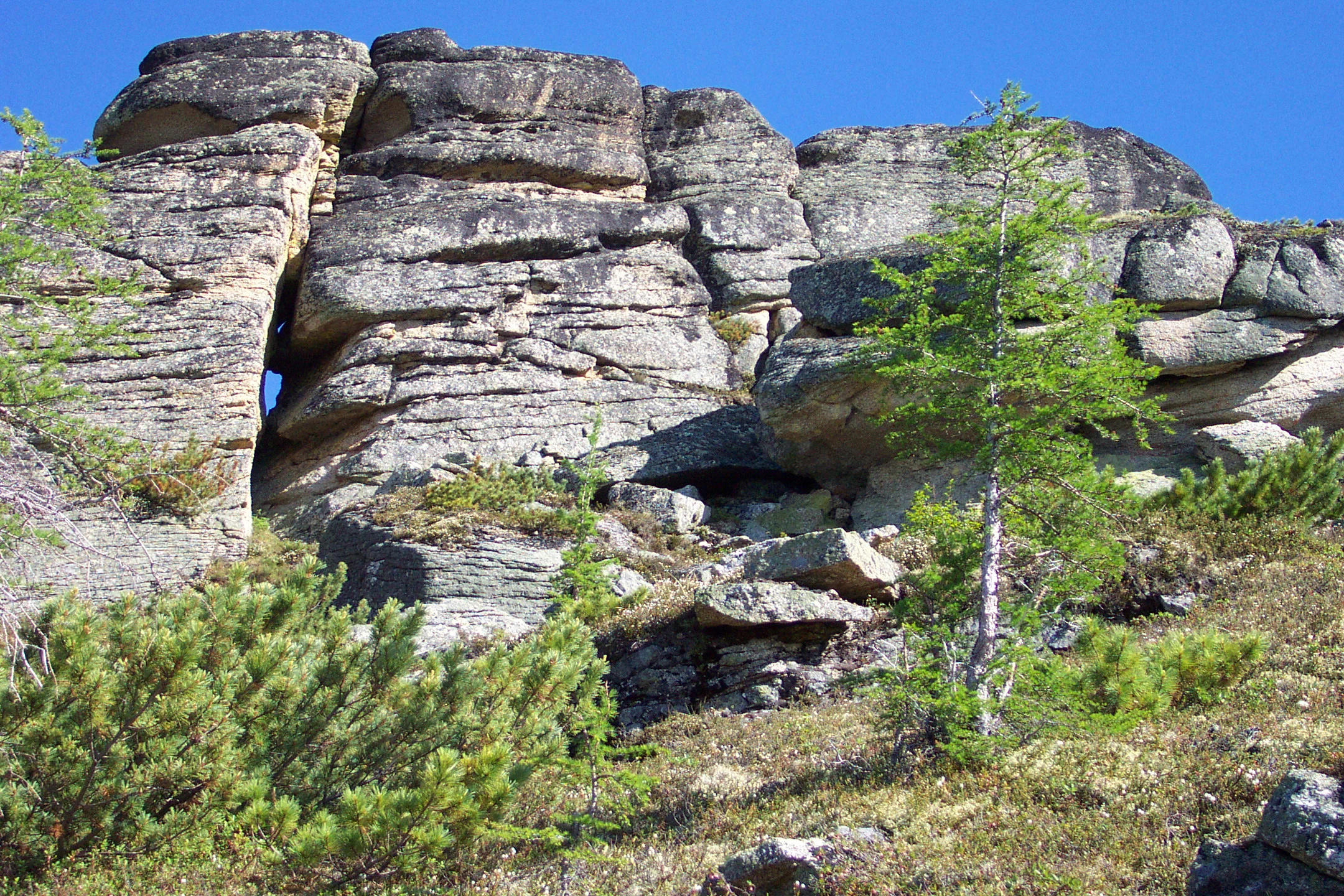 Около Усть-Неры (8).webp