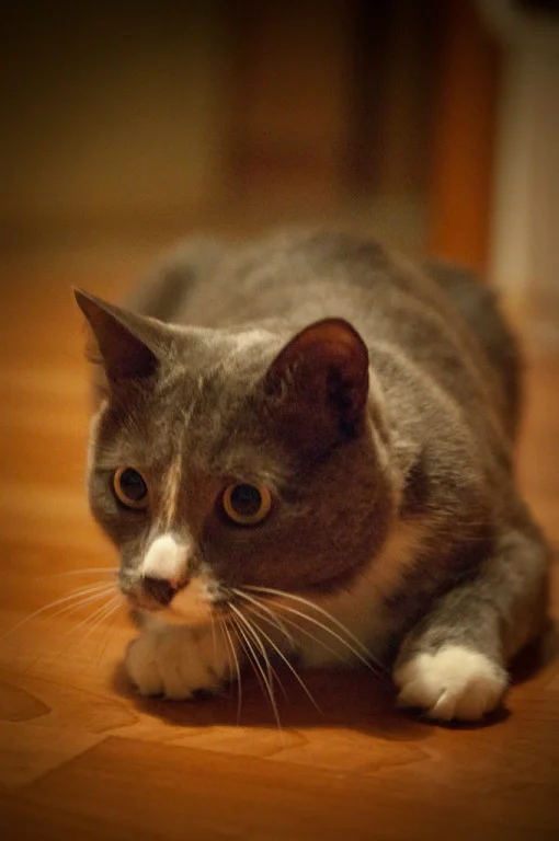 оксана612 2.webp