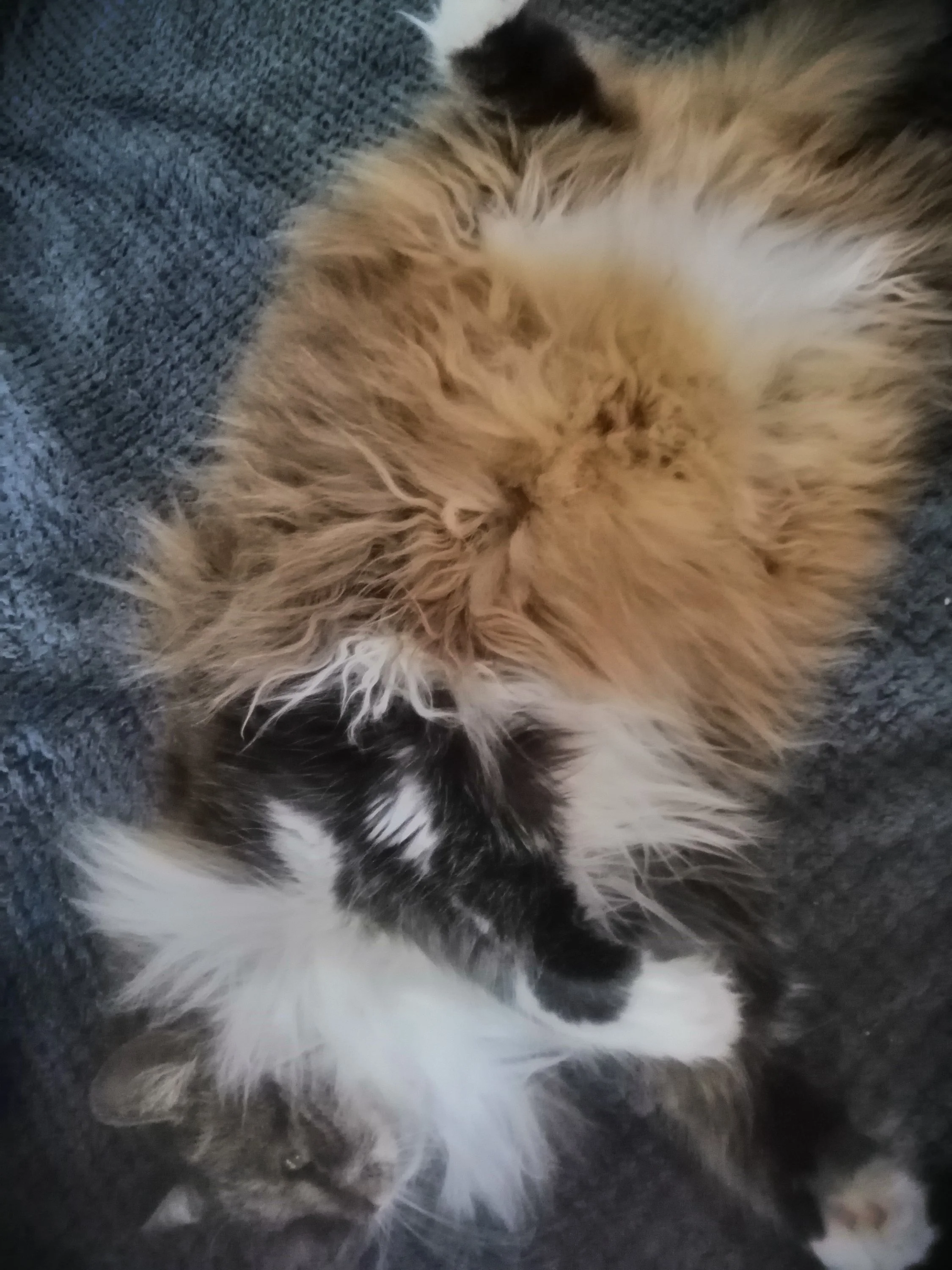 ОкSonчики (2).webp