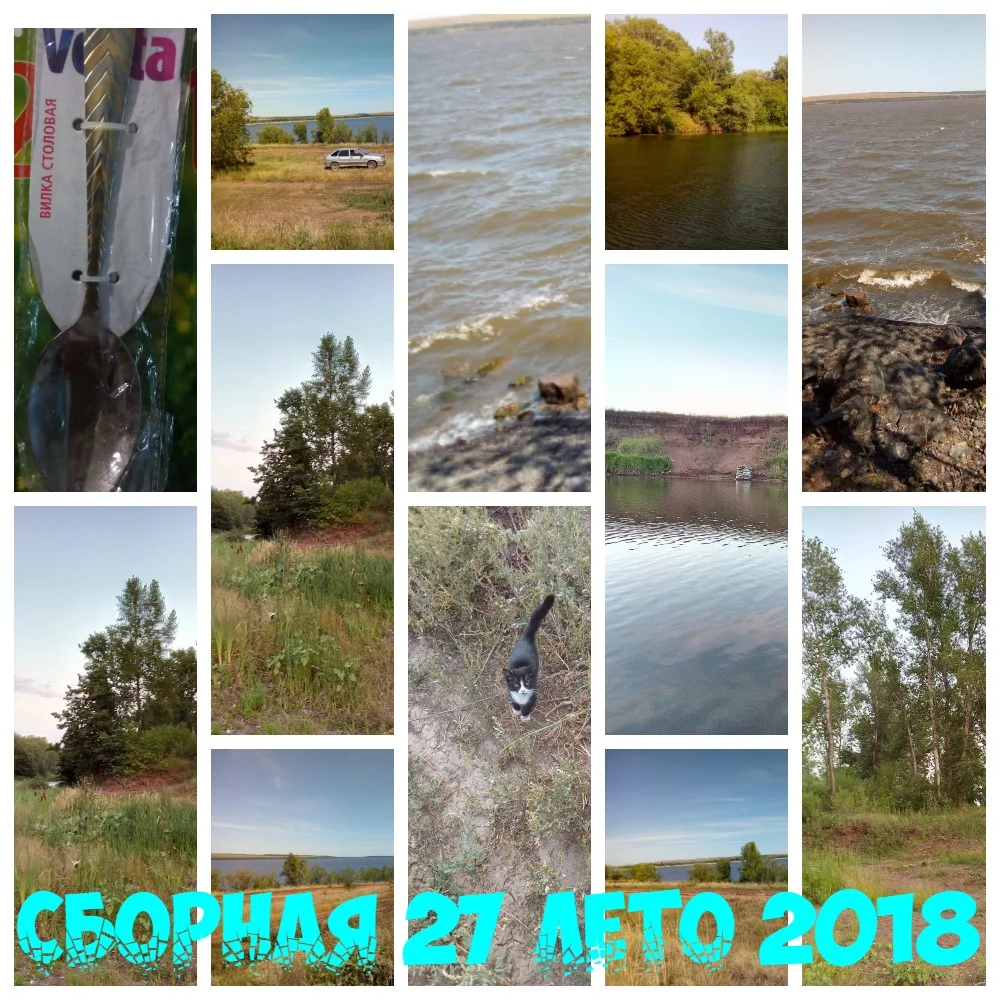 Олежка коллаж.webp