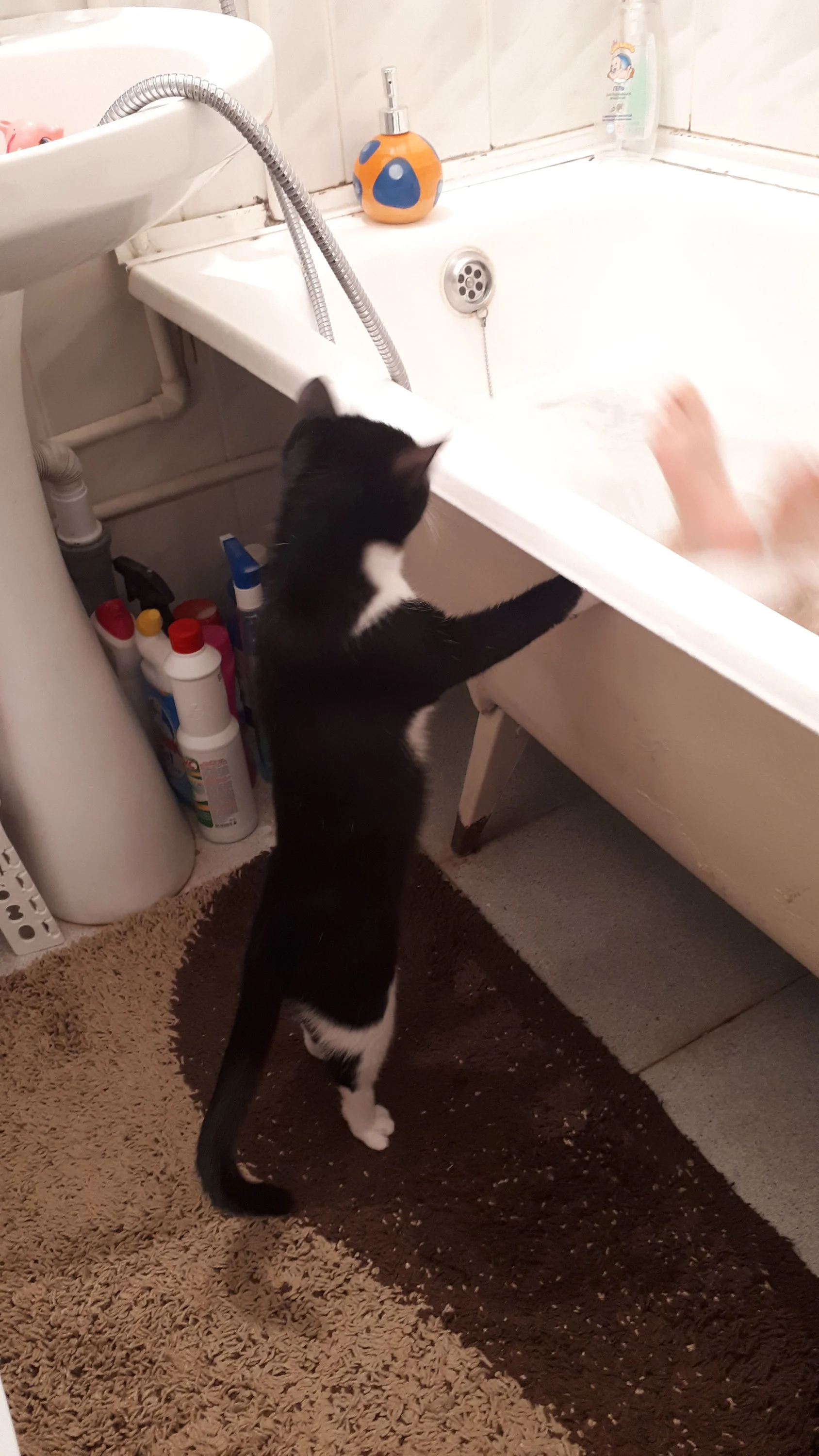 Ольга05. Элля1.webp