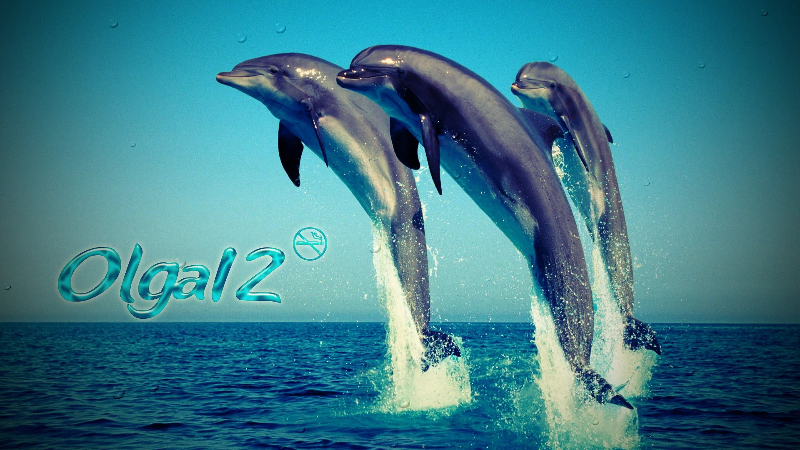 olga12tri-delfina-v-pryzhke.webp