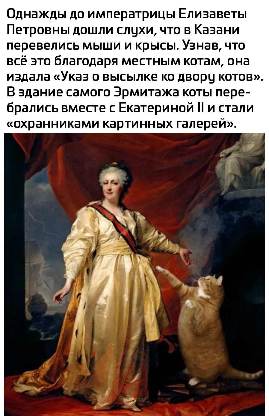 OmkQbDb-gKk.webp