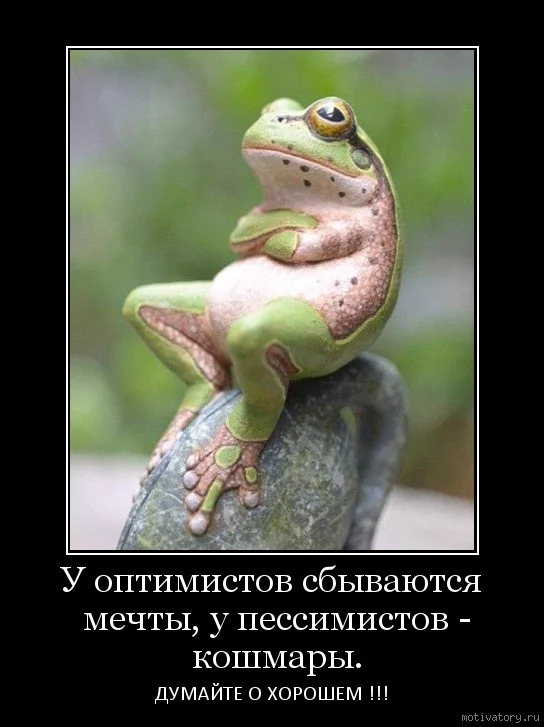 оптимизм.webp