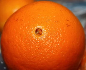 orange.webp