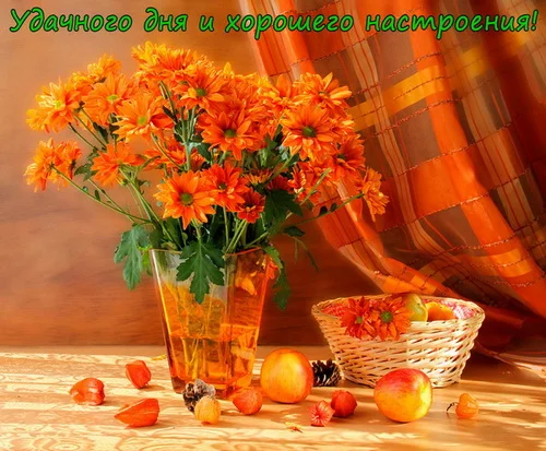 оранж 006 1.webp