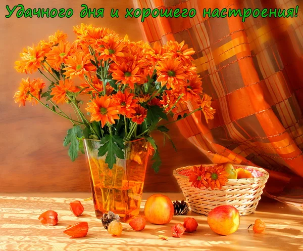 оранж 006 1.webp