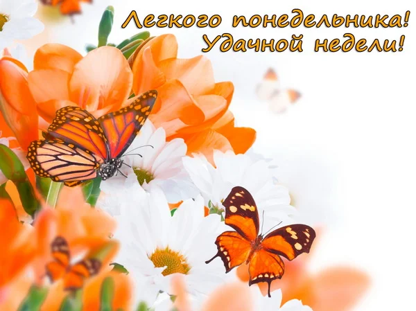 оранж 010 1.webp