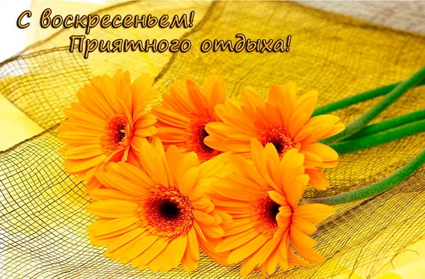 оранж 011 1.webp