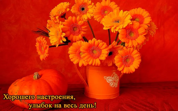 оранж018.webp