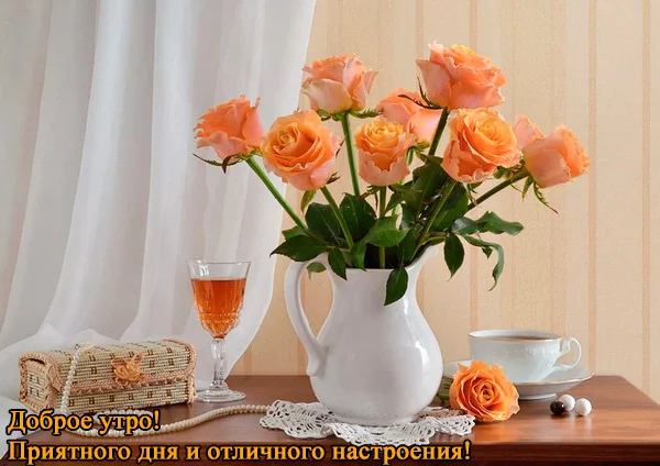 оранж27.webp