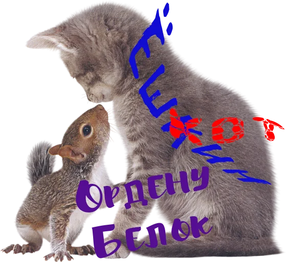 Орден белок..webp