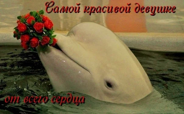 orig_eeb4286166248f0a081bf4c4c5690cc1.webp