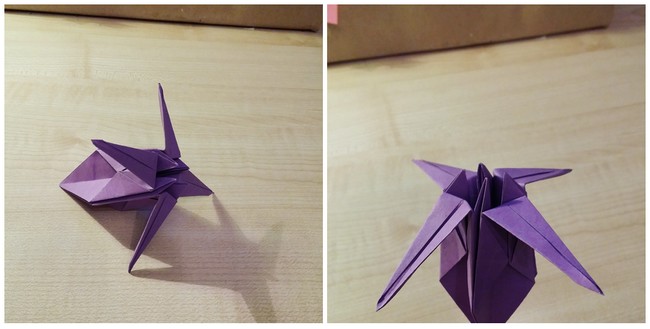 origami5.jpg