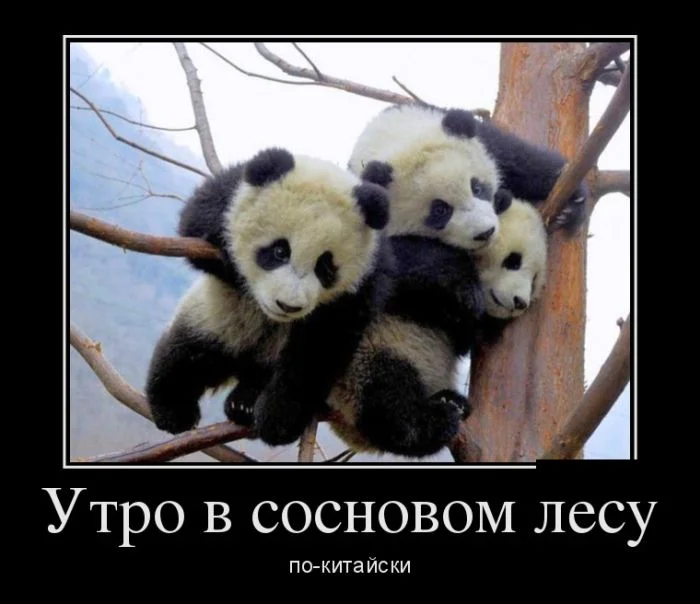original (11).webp
