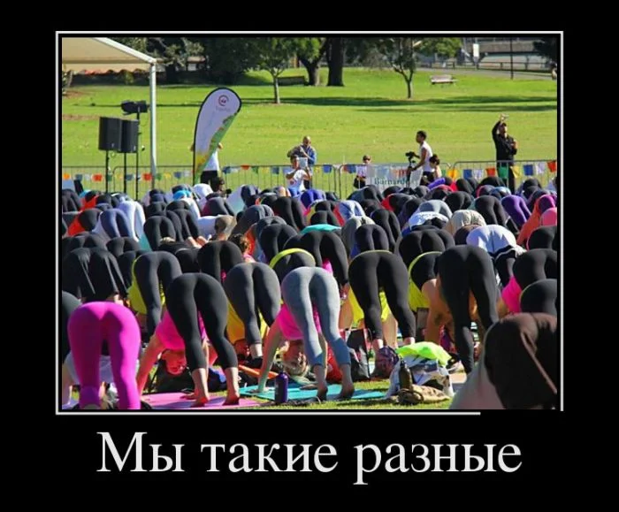 original-36.webp