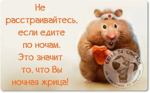 original-5.webp