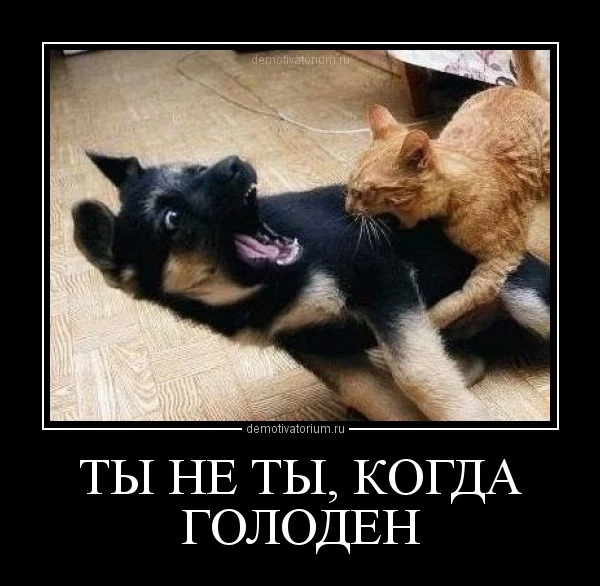 original.webp