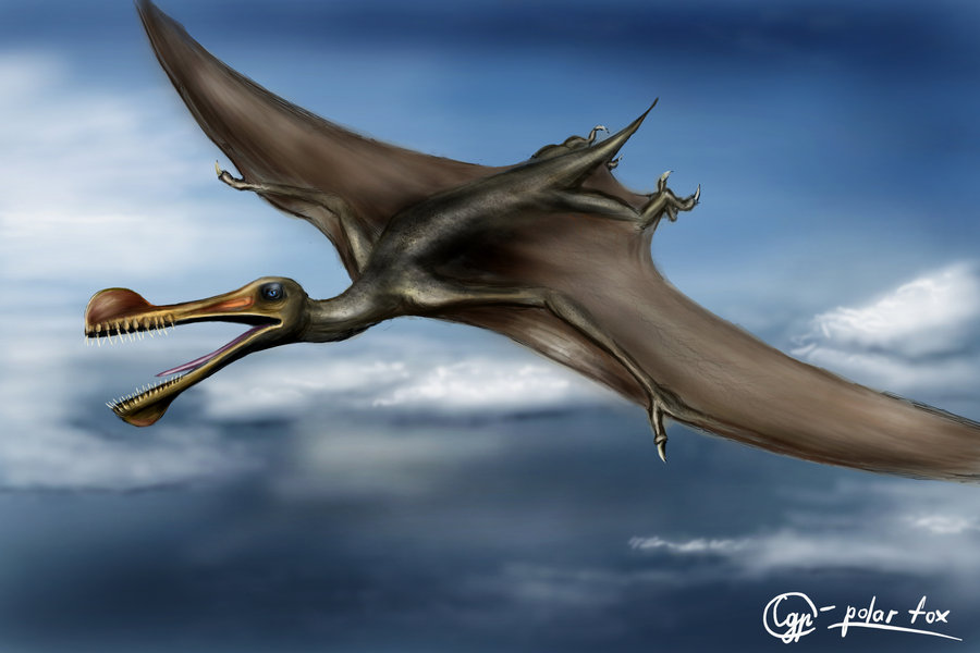 ornithocheirus_by_631780871-d4i67gn.jpg