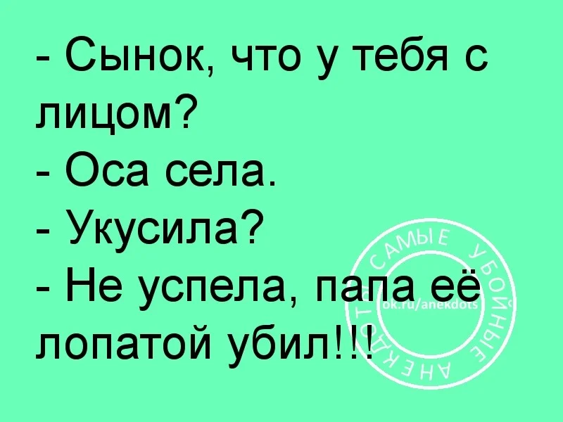 оса.webp